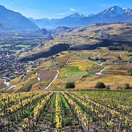 Luxuszelt Nuit Insolite - Au Jardin Des Etoiles - Diogne - Crans-Montana